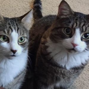 Meet your Posher, Debra